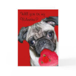 Will you be my Valentine pug greeting card
