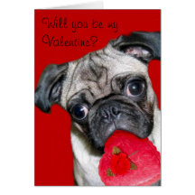 Will you be my Valentine pug greeting card