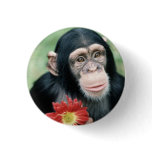 Will You Marry Me? Pin