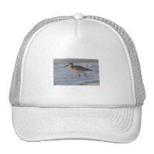 Willet Trucker Hat