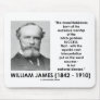 William James Moral Flabbiness Worship Success Mouse Pads