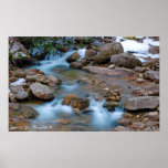 Williams River Tea Creek Area posters
