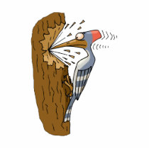 Willie Woodpecker Acrylic Cut Outs