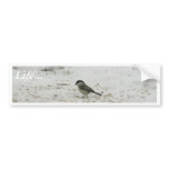 Willlow Tit Eating Seed Bumper Sticker