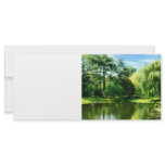 Willow By the Lake rack cards