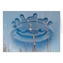 Willow Catkin Portrait; Customisable Greeting Card