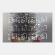 Willow Catkin Study; 2013 Calendar Rectangle Sticker