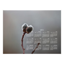 Willow Catkins After Spring Rain; 2013 Calendar Art Photo