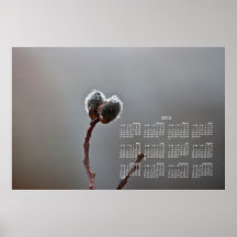 Willow Catkins After Spring Rain; 2013 Calendar Posters