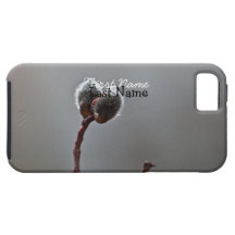 Willow Catkins After Spring Rain; Customisable