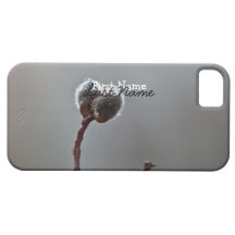 Willow Catkins After Spring Rain; Customisable