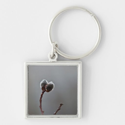 Willow Catkins After Spring Rain Keychains