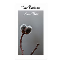 Willow Catkins After Spring Rain; Promotional Business Card Templates