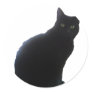 Willow copy round stickers