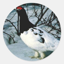 Willow Ptarmigan Sticker