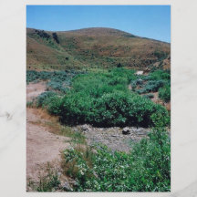 Willow Riparian Habitat in Idaho Flyer