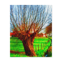 willow tree in traditional Flemish landscape