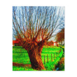 willow tree in traditional Flemish landscape flyers