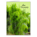 Willow Tree, Kula Maui, New Beginnings cards
