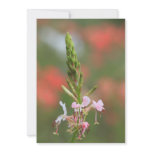 Willowherb Flower Invitations