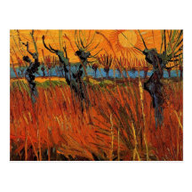 Willows at Sunset by Vincent van Gogh Postcard