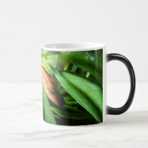 Willy Incognito Mugs