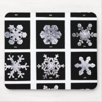Wilson Bentley Snowflakes