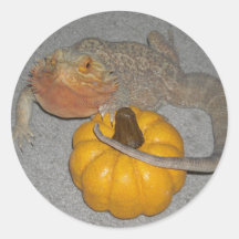 Wilson the Bearded Dragon Stickers