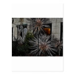 Wilted Honey Postcards