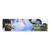 wind blown - bumper sticker