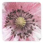 Wind Blown Poppy stickers