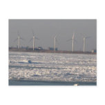wind mills of Buffalo, NY Postcards