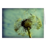 Wind of change greeting card