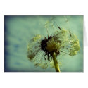 Wind of change cards