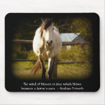 Wind of Heaven  - White Horse Arabian Proverb