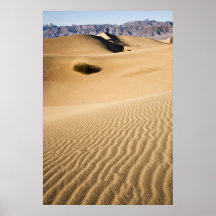 Wind Patterns Poster