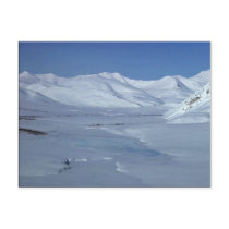 Wind River Mountains Post Card