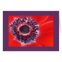 Windflower Greeting Cards