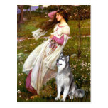Windflowers - Alaskan Malamute Postcard