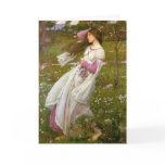 Windflowers cards