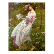 Windflowers Postcard