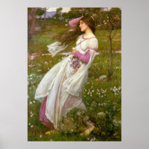 Windflowers Poster