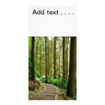Winding Footpath in a Quiet Forest Personalized Photo Card