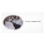 Winding Winter Stream - Photocard Photo Cards