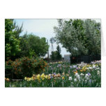 Windmill & Iris Field cards