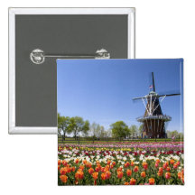 Windmill Island park with tulips in bloom at Buttons