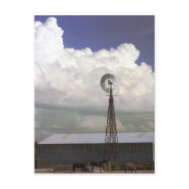 Windmill Postcard