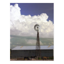 Windmill Postcard