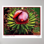 Windmills Of Your Mind Posters
