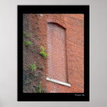 Window Garden posters